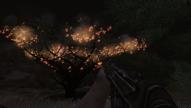  Il fuoco pu� trasferirsi rapidamente dal terreno agli alberi, con effetti visivi notevolissimi (soprattutto di notte)