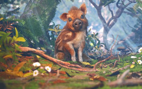 Un cucciolo alla ricerca della propria famiglia? Cosa c'è di più delicato e romantico?